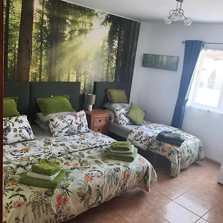 Feliza Homestay *
