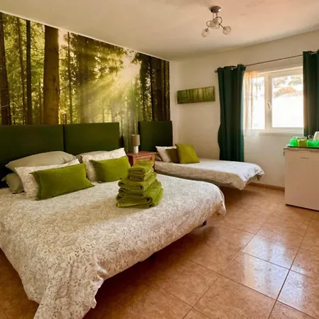 Feliza Habitación en casa particular